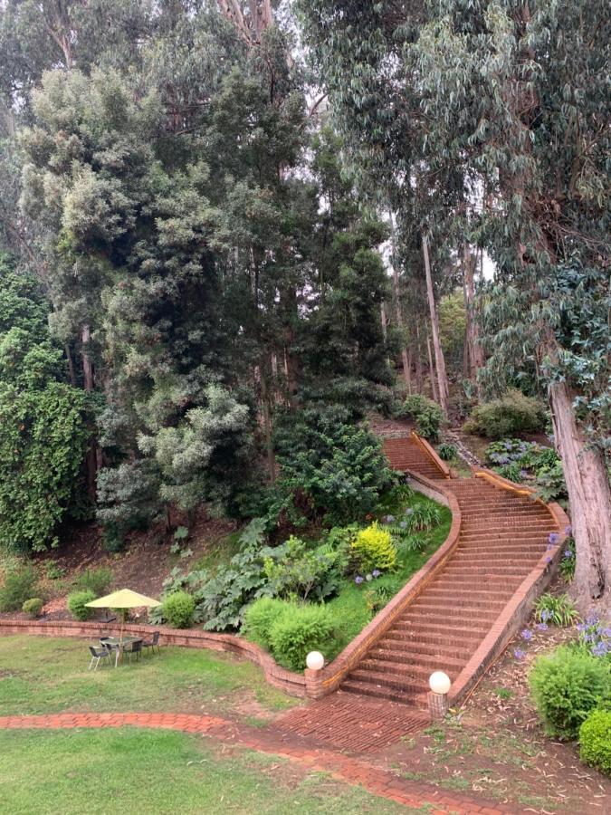 וינה דל מר Hotel Bosque De Renaca מראה חיצוני תמונה