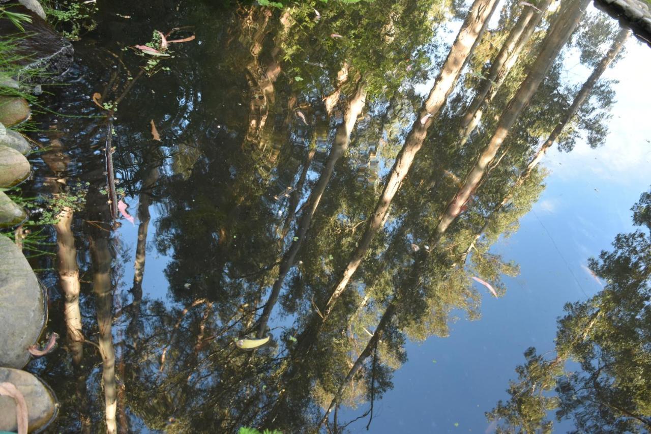 וינה דל מר Hotel Bosque De Renaca מראה חיצוני תמונה
