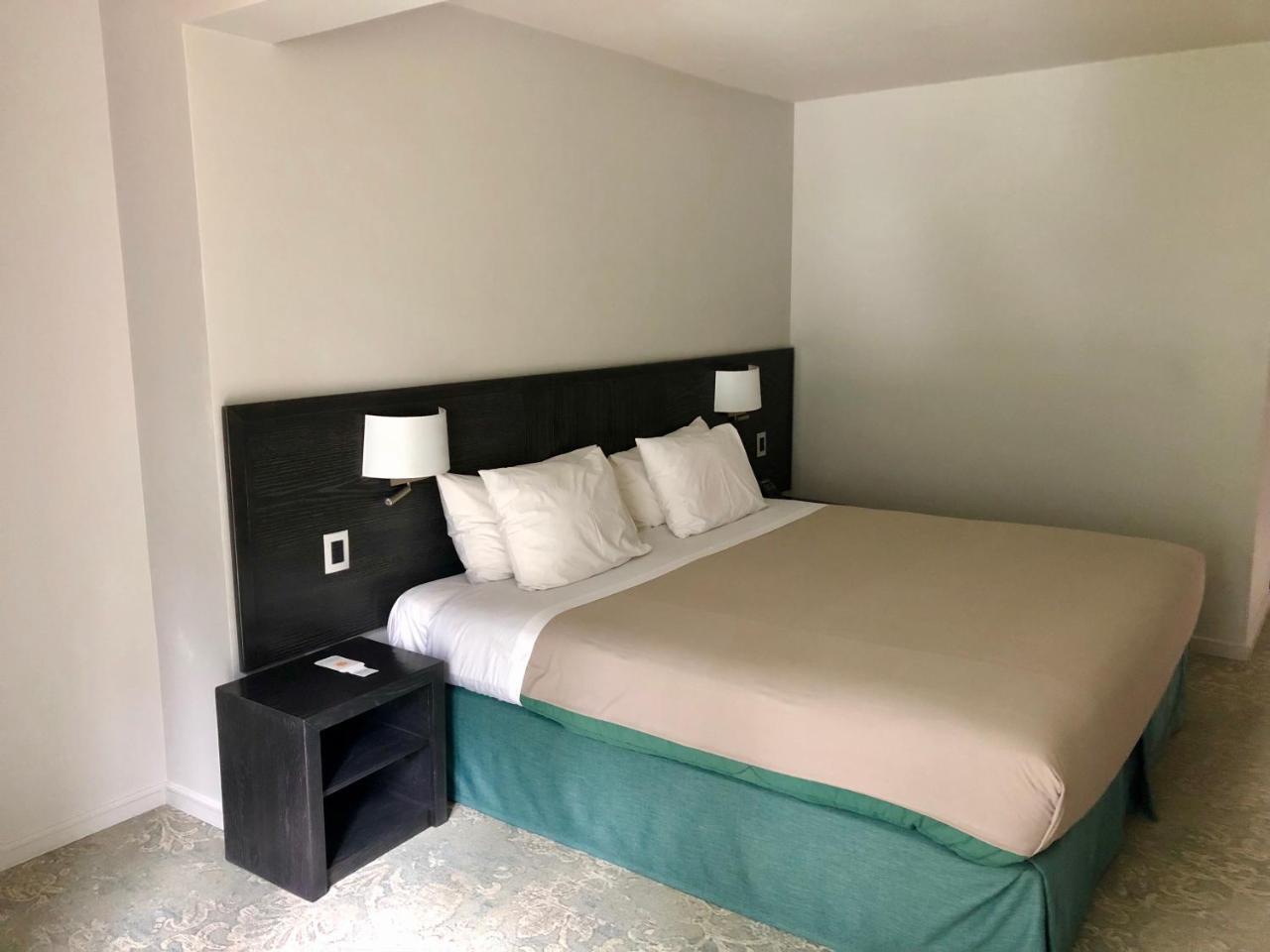 וינה דל מר Hotel Bosque De Renaca מראה חיצוני תמונה