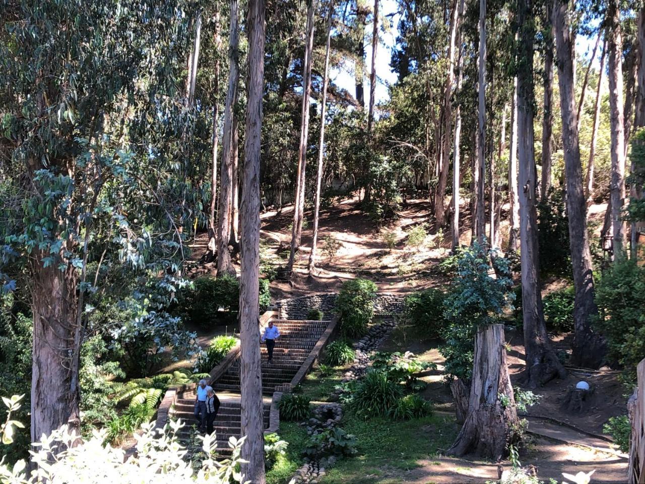 וינה דל מר Hotel Bosque De Renaca מראה חיצוני תמונה