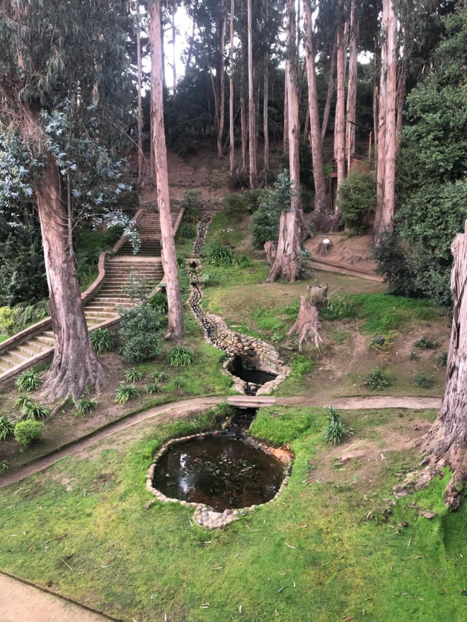 וינה דל מר Hotel Bosque De Renaca מראה חיצוני תמונה